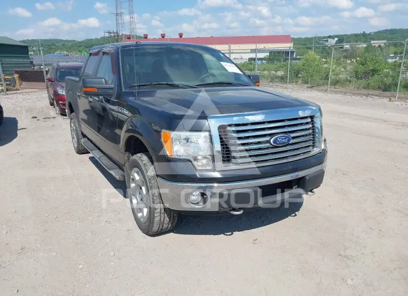 2010 Ford F-150 фото