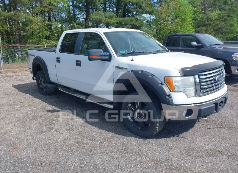 2010 Ford F-150 photo