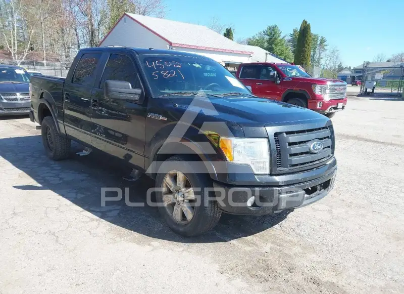 2010 Ford F-150 photo