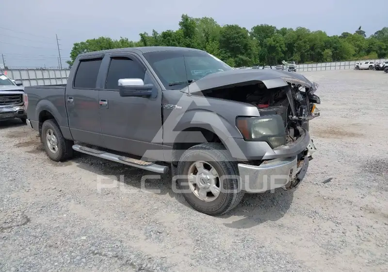 2010 Ford F-150 photo