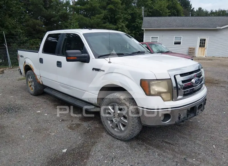 2010 Ford F-150 photo