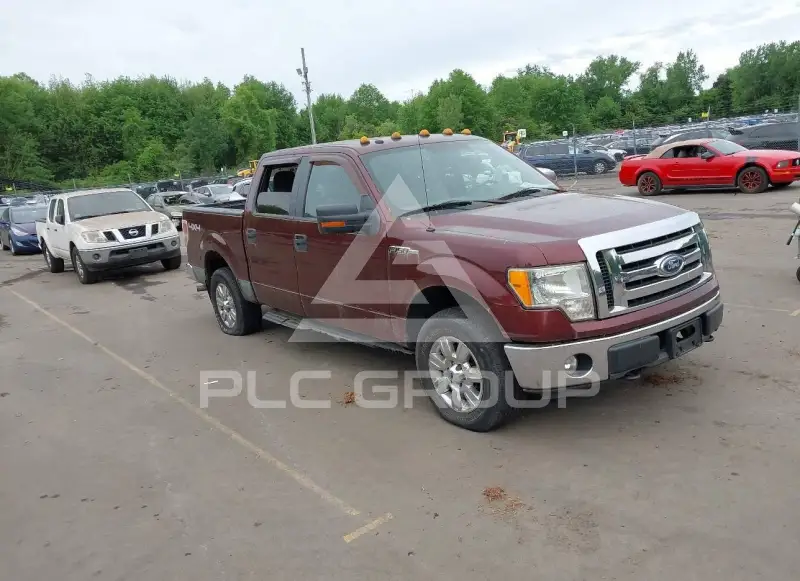 2010 Ford F-150 фото