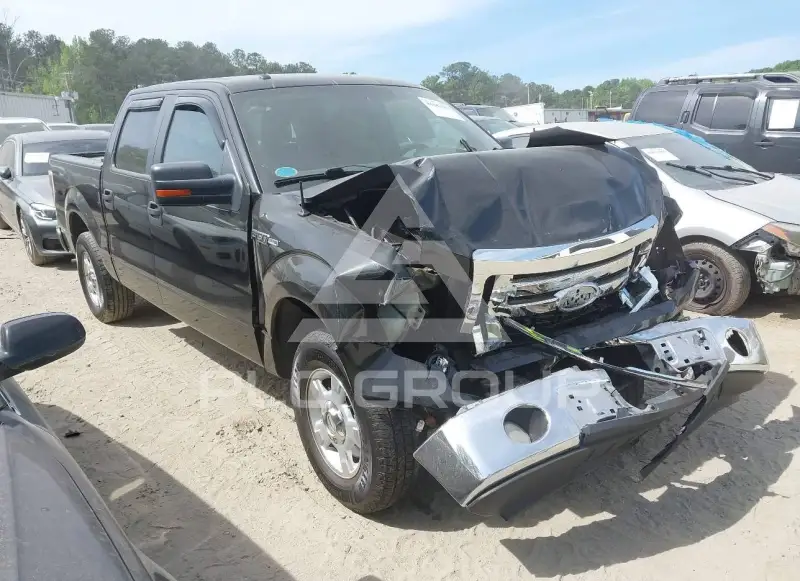 2010 Ford F-150 photo