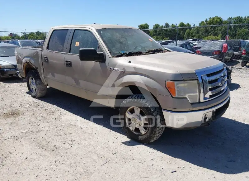 2010 Ford F-150 photo
