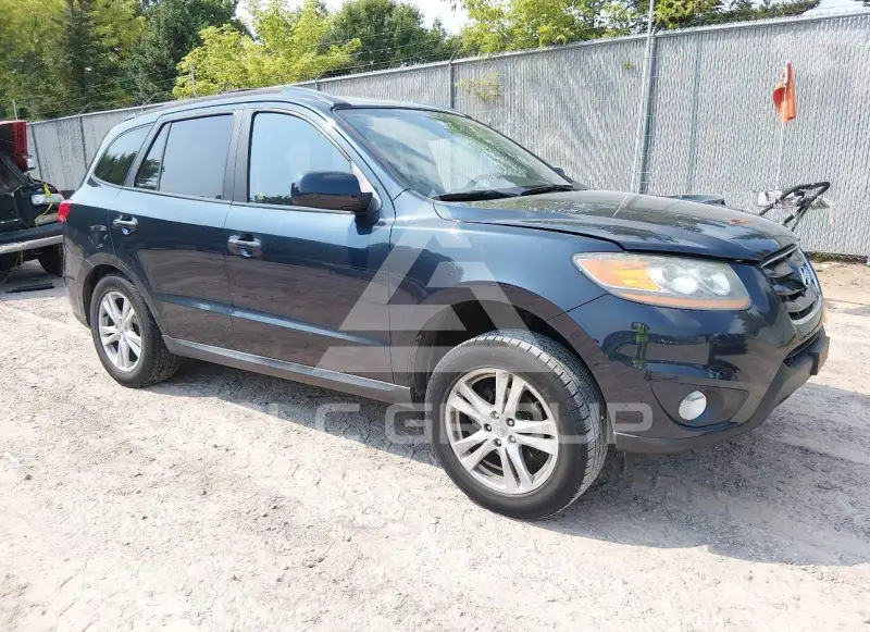 2010 Hyundai Santa Fe фото
