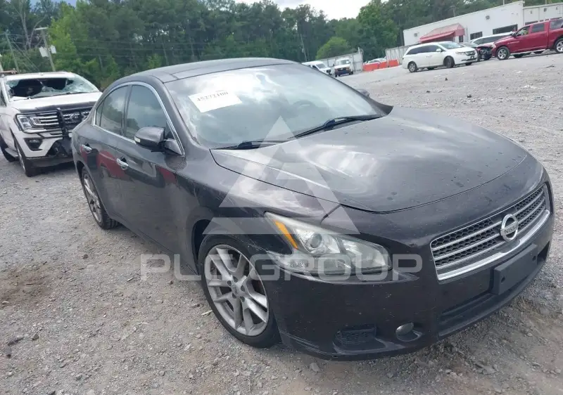 2011 Nissan MAXIMA фото