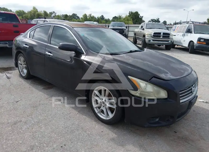 2011 Nissan MAXIMA photo