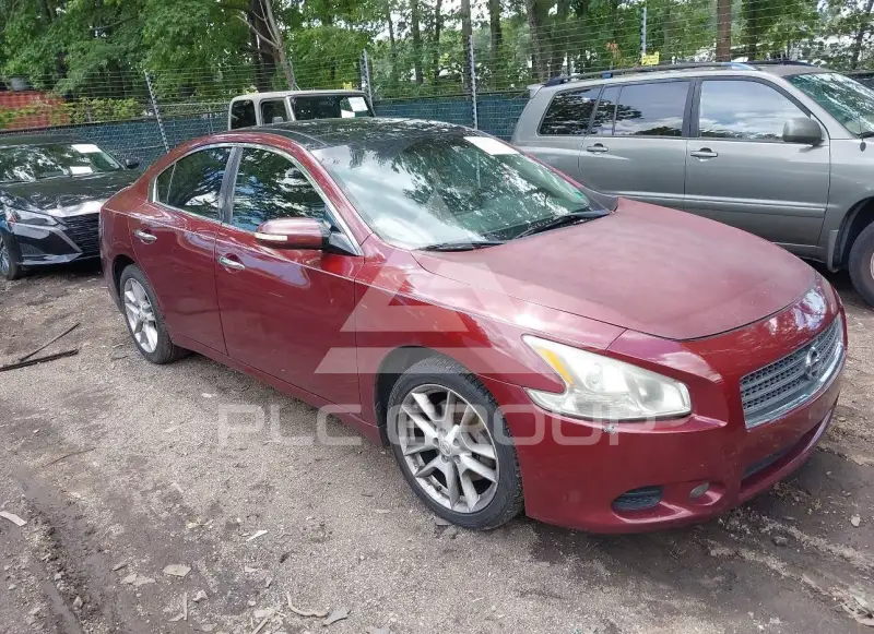2011 Nissan MAXIMA photo