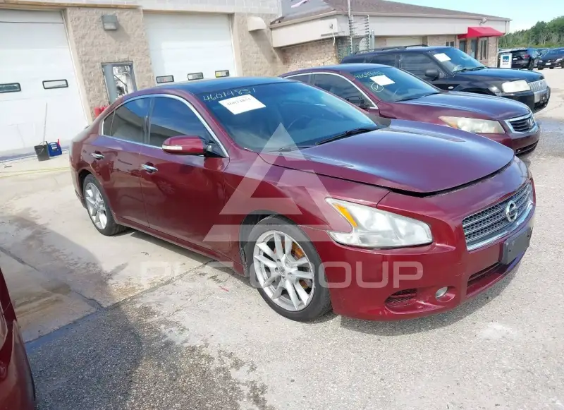 2011 Nissan MAXIMA фото