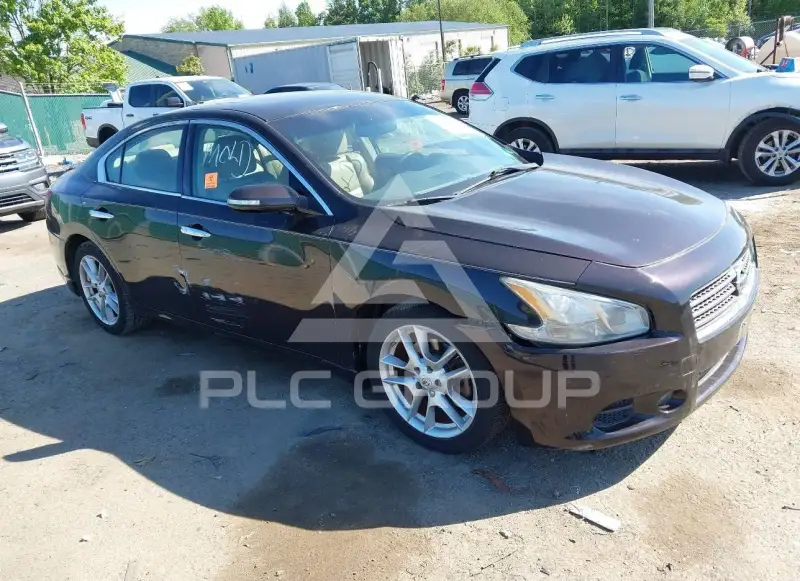 2011 Nissan MAXIMA photo