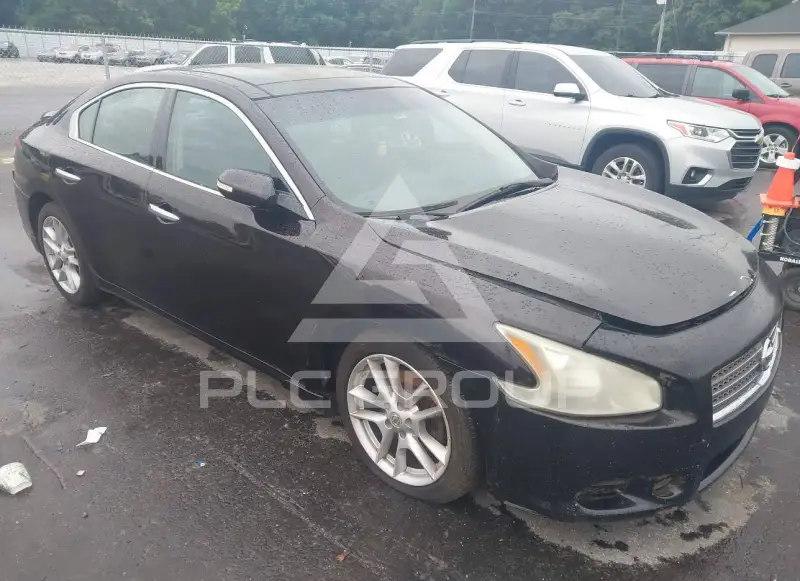 2011 Nissan MAXIMA photo