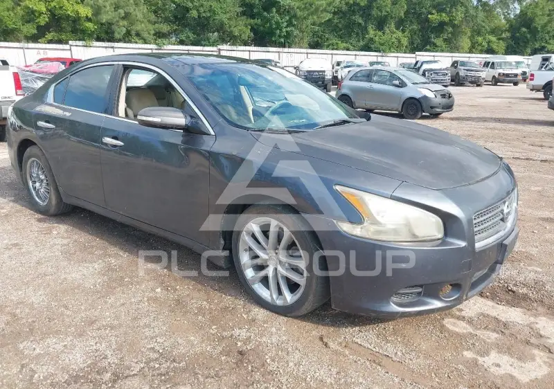 2011 Nissan MAXIMA фото