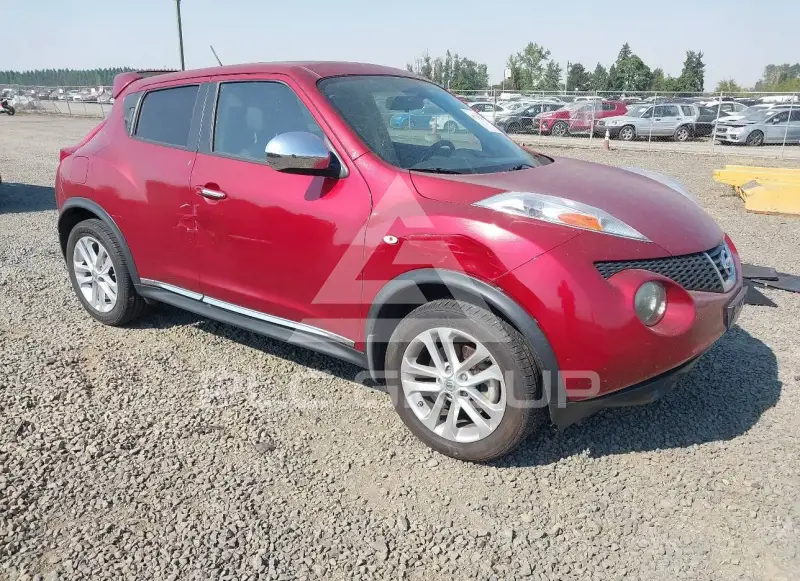 2011 Nissan Juke photo