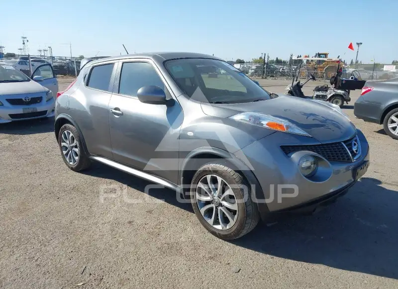 2011 Nissan Juke photo