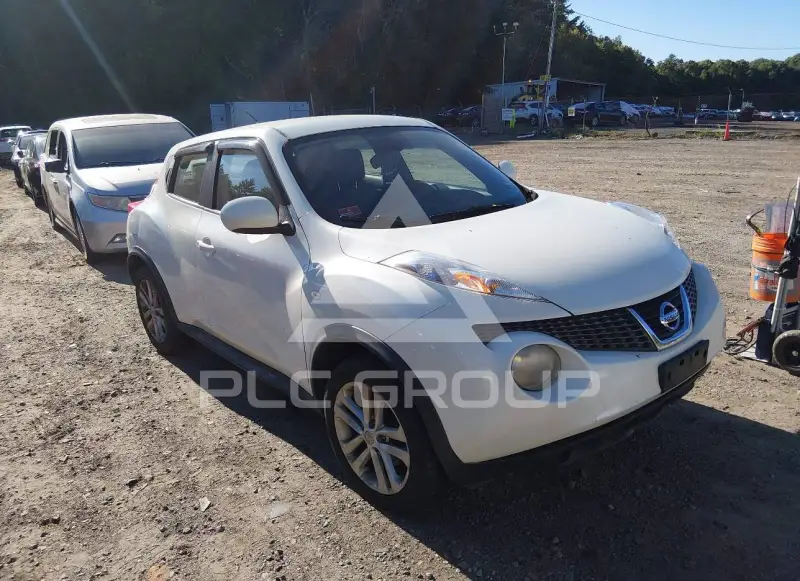 2011 Nissan Juke photo