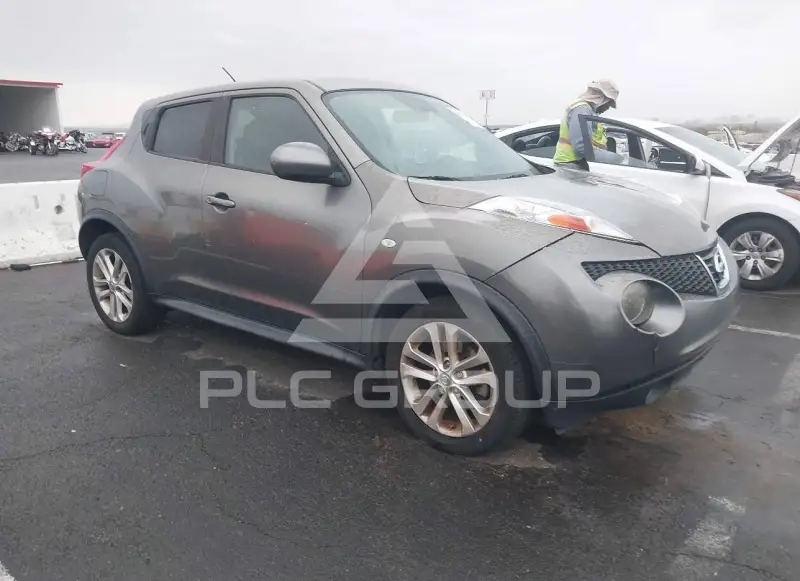 2011 Nissan Juke photo