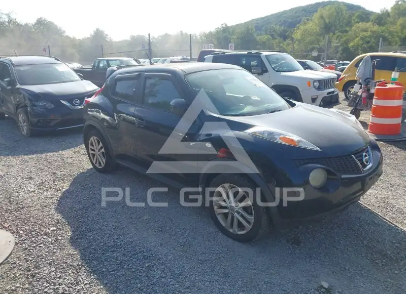2011 Nissan Juke photo