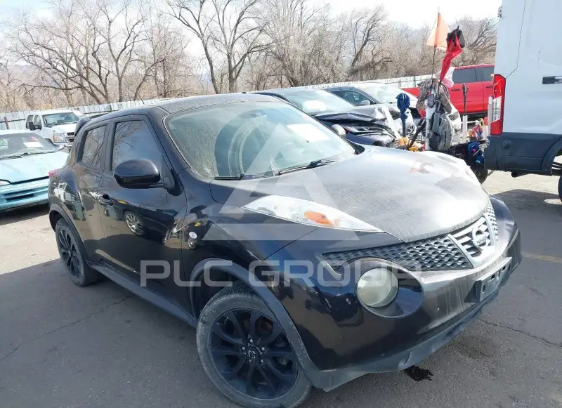 2011 Nissan Juke photo