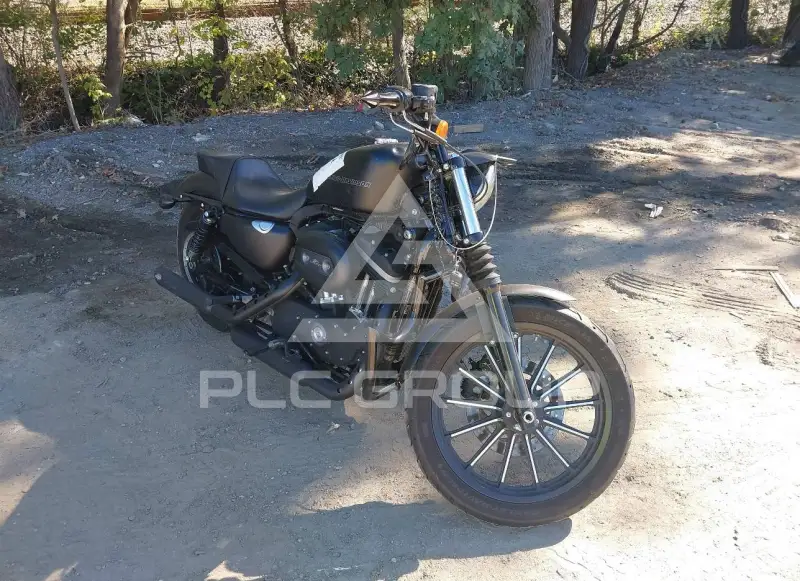 2011 Harley-Davidson XL883 photo