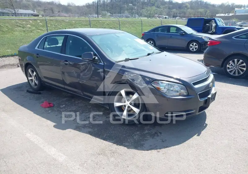 2011 Chevrolet Malibu фото