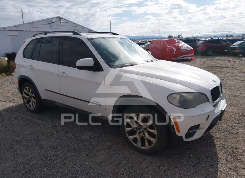 2011 BMW X5 фото