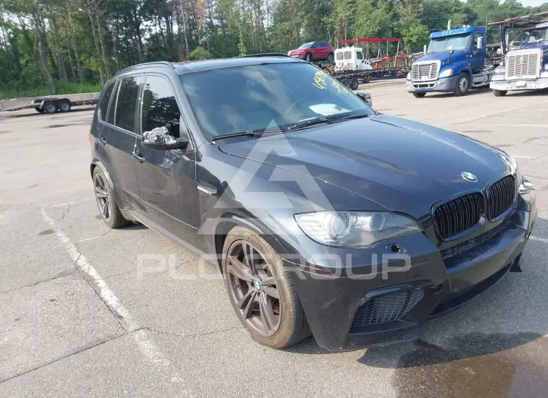 2011 BMW X5 photo