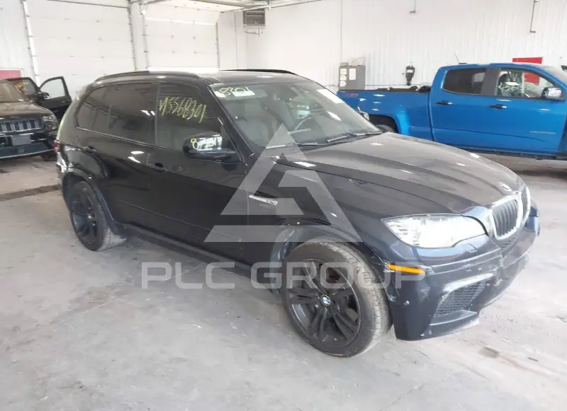 2011 BMW X5 фото