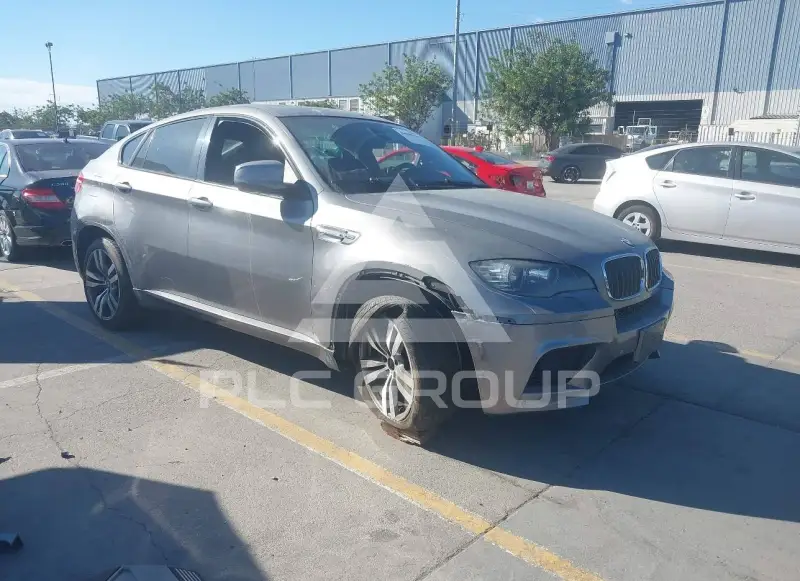 2011 BMW X6 фото