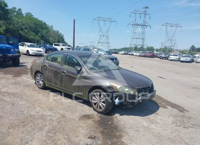 2011 Honda Accord фото