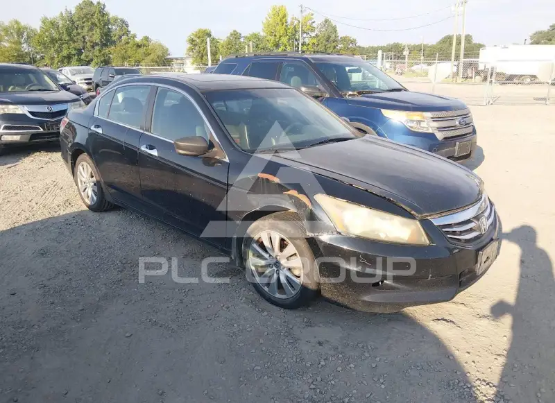 2011 Honda Accord фото