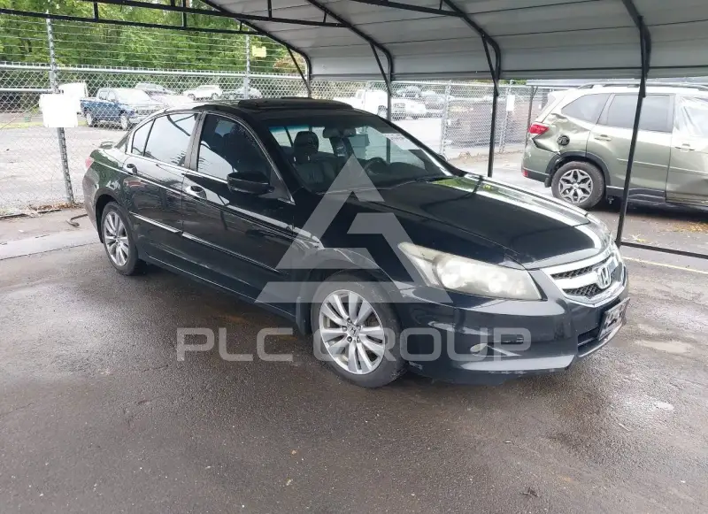 2011 Honda Accord photo