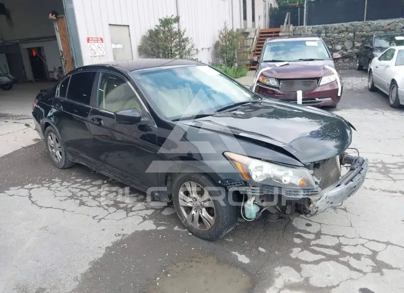 2011 Honda Accord photo