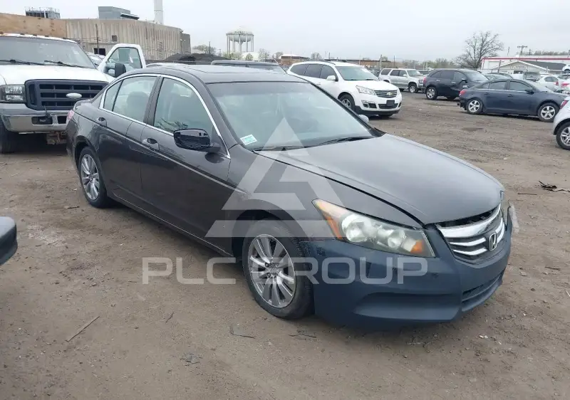 2011 Honda Accord photo