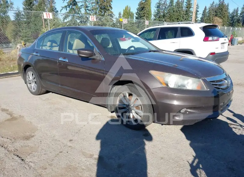 2011 Honda Accord фото