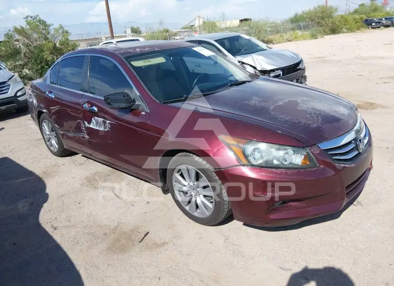2011 Honda Accord фото