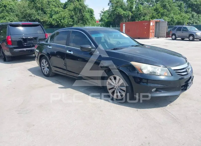 2011 Honda Accord photo