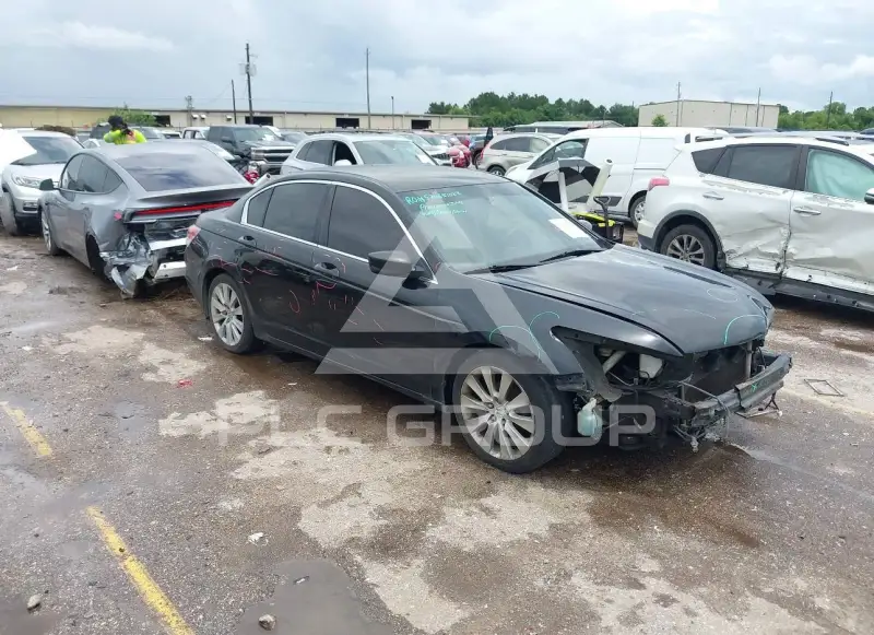 2011 Honda Accord photo