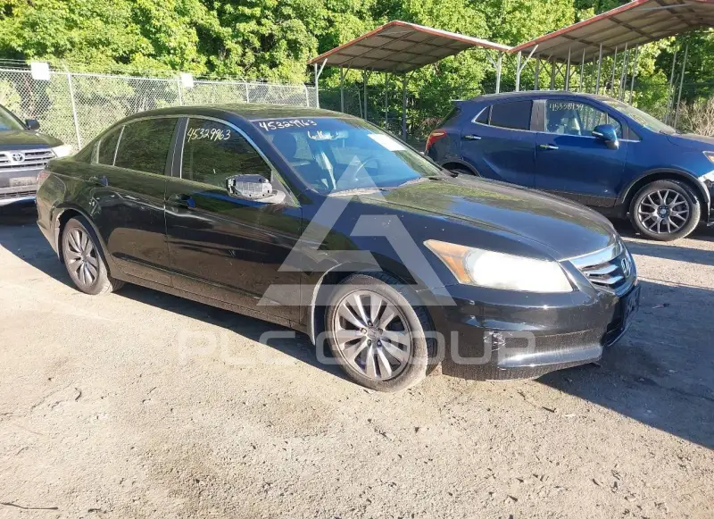 2011 Honda Accord фото