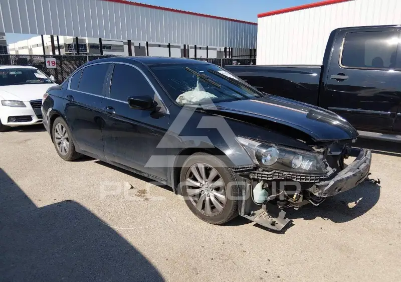 2011 Honda Accord фото