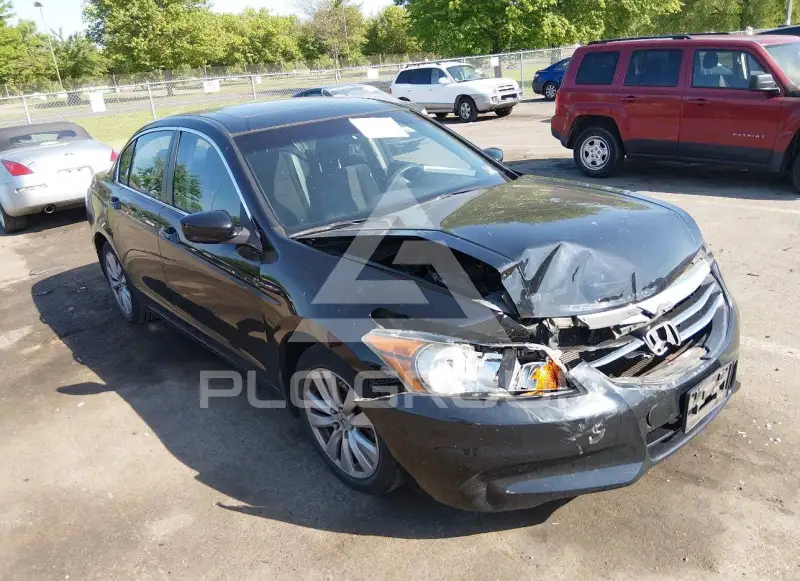 2011 Honda Accord photo