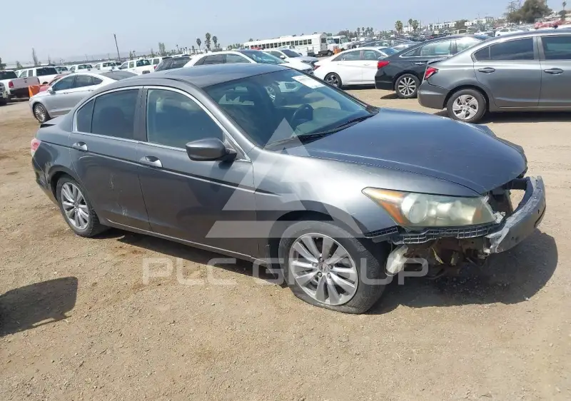 2011 Honda Accord photo