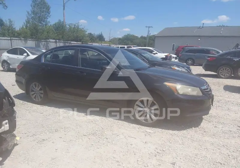 2011 Honda Accord фото