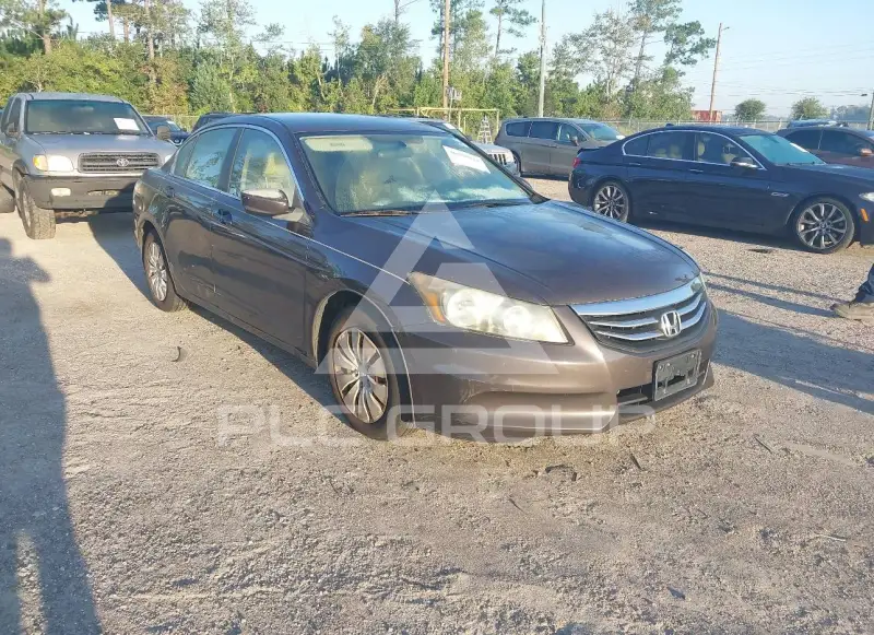 2011 Honda Accord photo