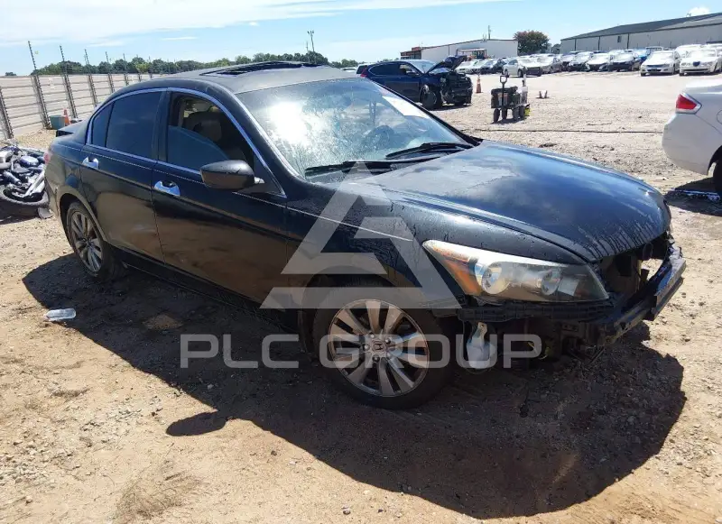 2011 Honda Accord фото