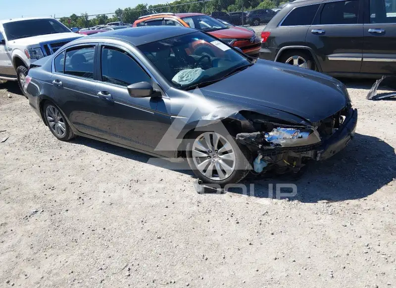 2011 Honda Accord photo
