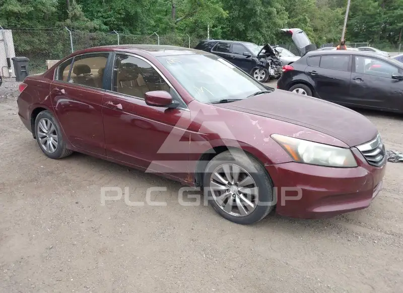 2011 Honda Accord фото