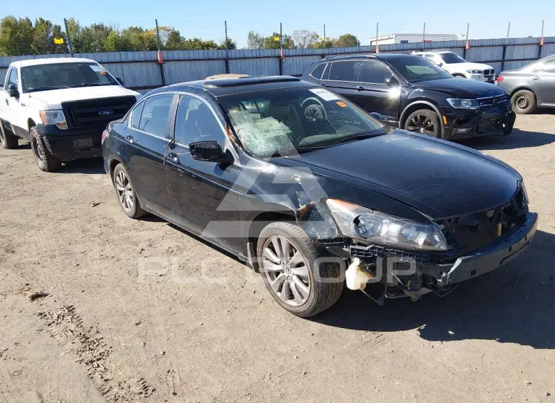 2011 Honda Accord фото
