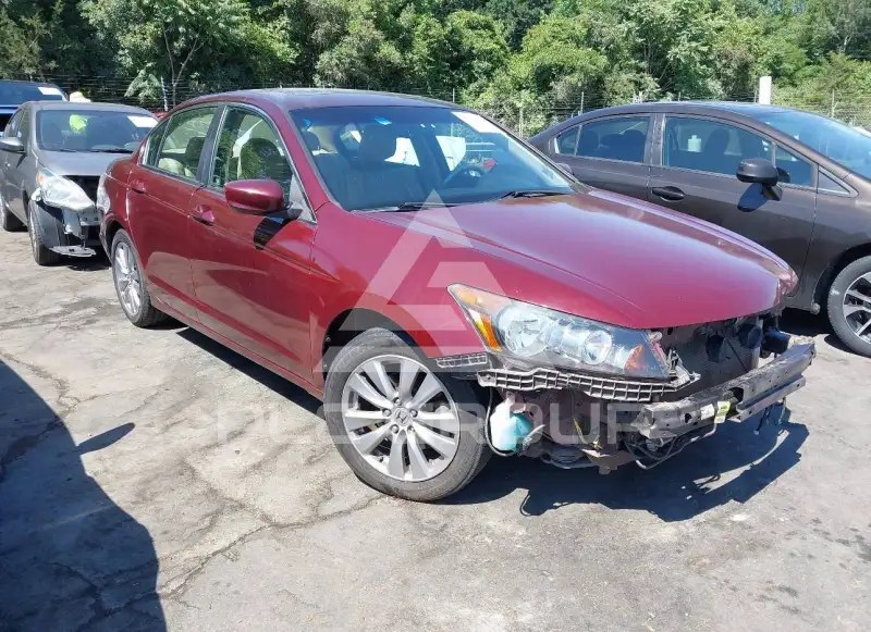 2011 Honda Accord фото