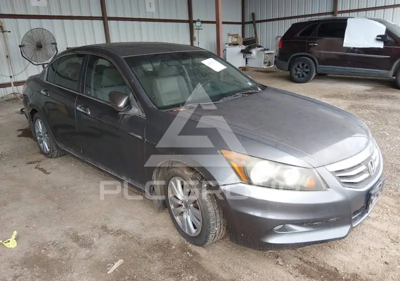 2011 Honda Accord photo