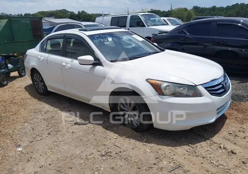 2011 Honda Accord photo